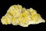 Lustrous Sulfur Crystals on Sparkling Calcite - Poland #175410-3